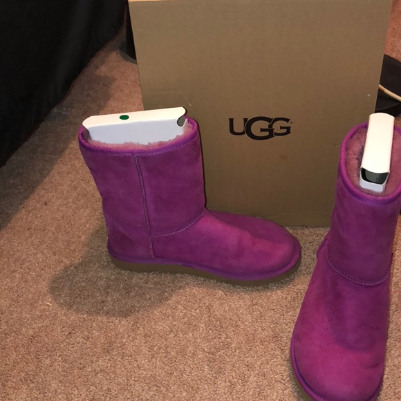 fuschia uggs